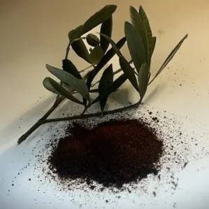 2 | La Esencia Pura del Olivo: Concentrado Natural para tu Bienestar